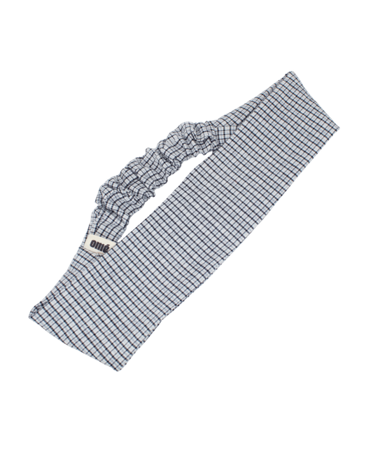 LE BANDEAU ARGENT