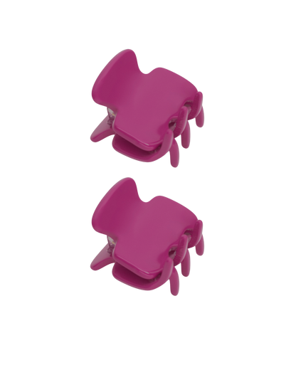 DUO PETITES PINCES BERRY - FAIT MAIN