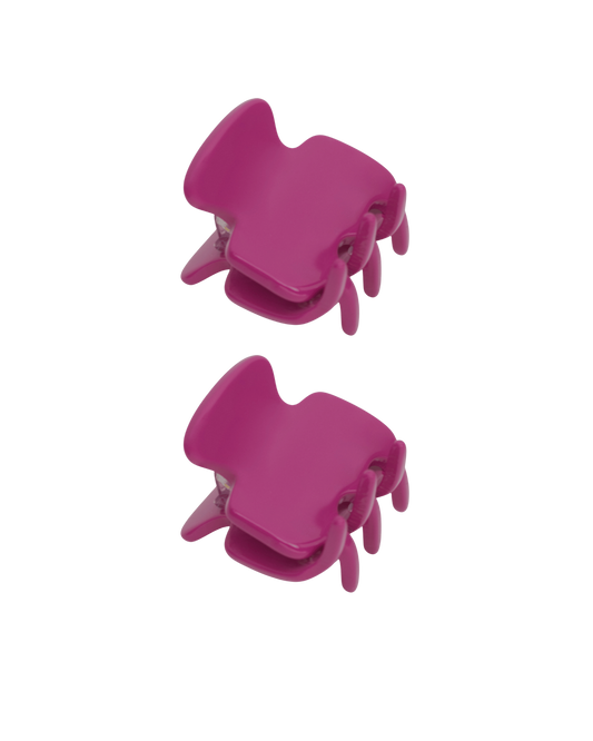 DUO PETITES PINCES BERRY - FAIT MAIN